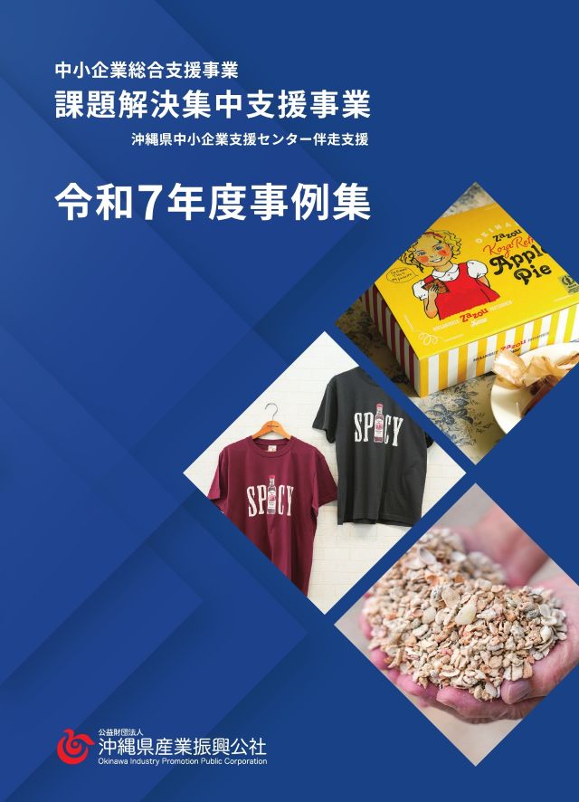 課題解決集中支援事業